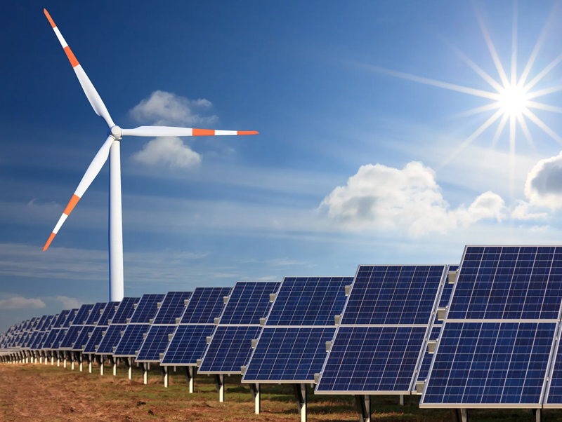 Renewable Energy Case Study